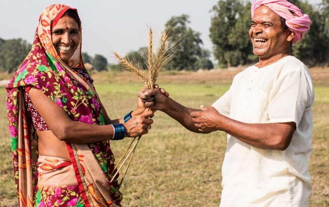 Zwei fröhliche Landwirt*innen auf einem Feld tauschen Getreideähren  Zwei fröhliche Landwirt*innen auf einem Feld tauschen Getreideähren – Symbolbild für klimafreundliche Landwirtschaft im Projekt SAFBIN in Südasien