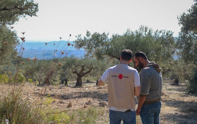 Zwei Männer stehen in einem syrischen Olivenhain und besprechen Pflanzenkrankheiten im Rahmen des KAMEH-Projekts