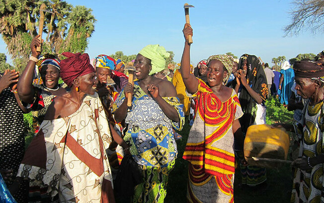 Frauen in Mali jubeln, während sie Werkzeuge hochhalten, um den erfolgreichen Zugang zu sauberem Trinkwasser und Unterstützung beim Obst- und Gemüseanbau zu feiern.